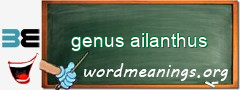 WordMeaning blackboard for genus ailanthus